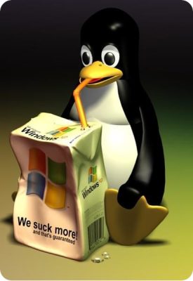 Linux VS Windows
